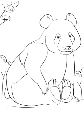 Cute Panda Coloring Page